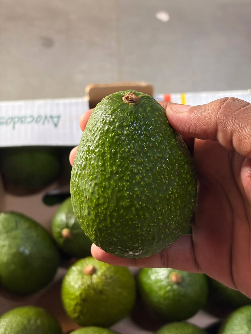 Avocados