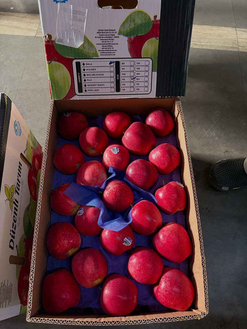 An opened apple carton with fruit seated in purple trays