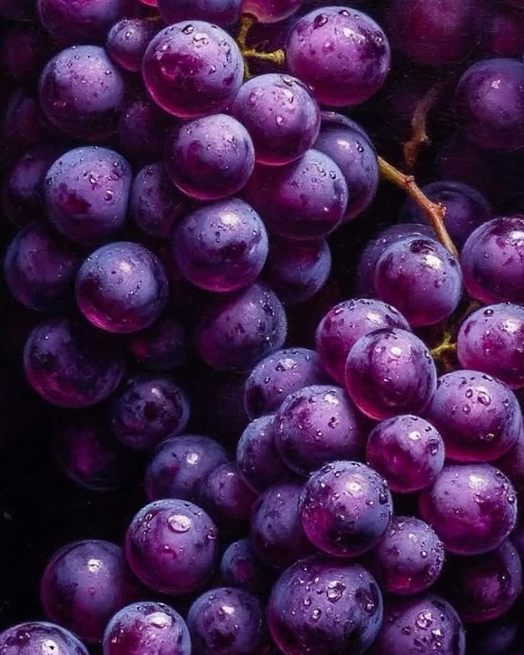 A bunch of dark purple grapes with water droplets