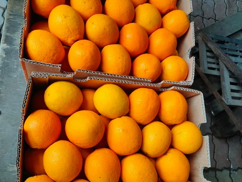 Close view of oranges packed in an open carton